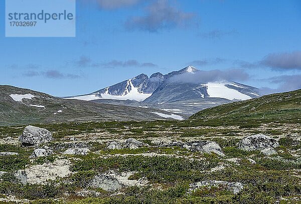 Fjell mit Berg Snøhetta  Dovrefjell-Sunndalsfjella-Nationalpark  Norwegen  Europa