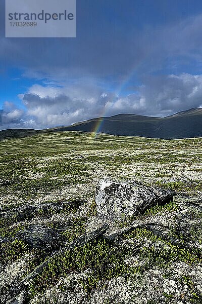 Regenbogen in der Tundra  karge Landschaft  Dovrefjell Nationalpark  Oppdal  Norwegen  Europa