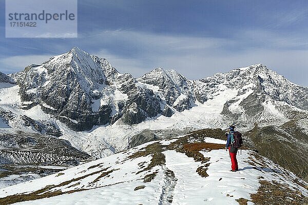 Ortlergruppe mit Königspitze  Monte Zebru und Ortler  Alpen  Sulden  Vinschgau  Südtirol  Italien  Europa