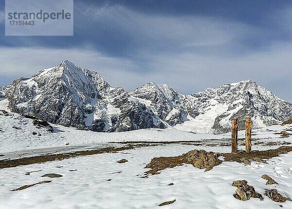 Ortlergruppe mit Königspitze  Monte Zebru und Ortler  Alpen  Sulden  Vinschgau  Südtirol  Italien  Europa