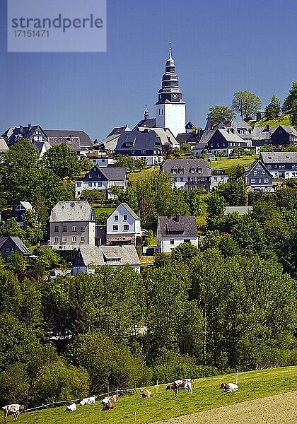 Die Sankt Johannes Evangelist Kirche mit Häusern von Eversberg  Meschede  Sauerland  Nordrhein-Westfalen  Deutschland  Europa