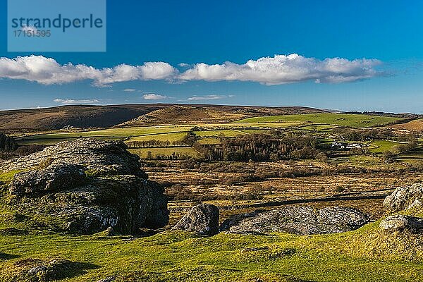 Felder und Wiesen in Haytor Rocks  Dartmoor Park  Devon  England  Großbritannien  Europa