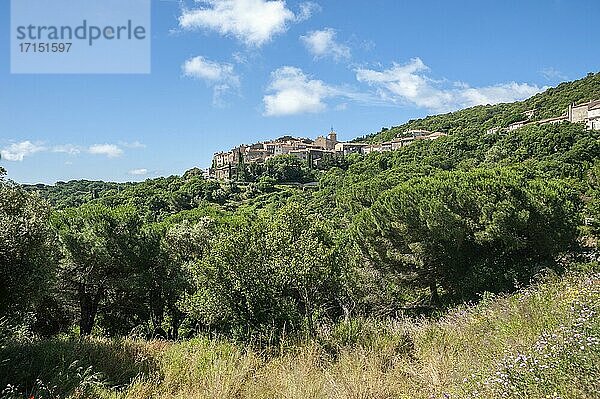 Blick zum Bergdorf Ramatuelle  Var  Provence-Alpes-Cote d'Azur  Frankreich  Europa