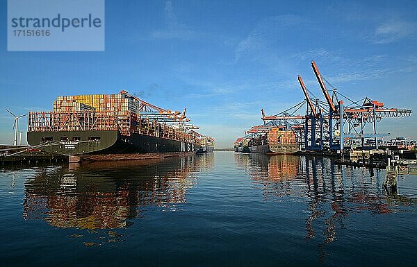 Containersschiffe  Container Terminal Burchardkai  Hamburger Hafen  Waltershof  Hamburg  Deutschland  Europa