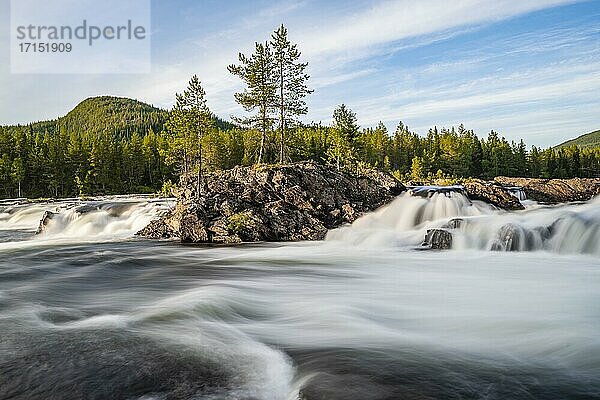 Stromschnelle im Fluss Namsen  Nadelwald  Namsskogan  Trøndelag  Norwegen  Europa