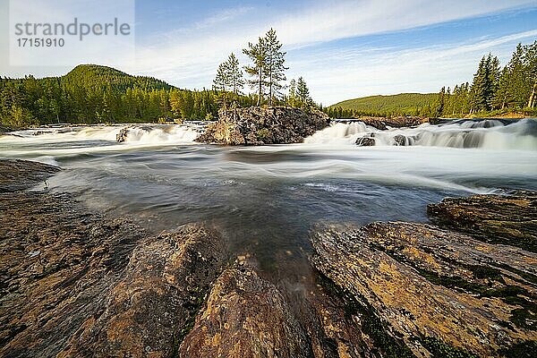 Stromschnelle im Fluss Namsen  Nadelwald  Namsskogan  Trøndelag  Norwegen  Europa