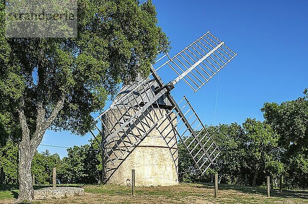 Windmühle Paillas  Ramatuelle  Var  Provence-Alpes-Cote d'Azur  Frankreich  Europa