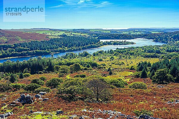 Blick vom Sharpitor zum Burrator Reservoir  Dartmoor National Park  Devon  England  Vereinigtes Königreich