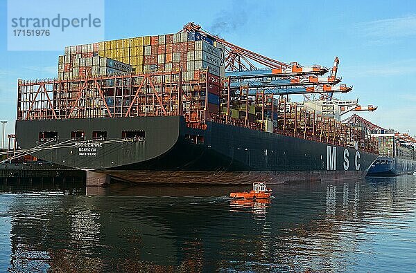 Containersschiffe und Festmacherboot  Container Terminal Burchardkai  Hamburger Hafen  Waltershof  Hamburg  Deutschland  Europa