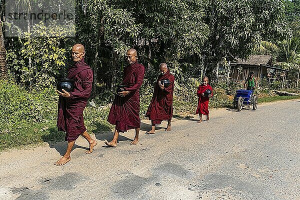 Mönche auf ihrer frühmorgendlichen Wanderung für Reis  Dawei  Mon-Staat  Myanmar  Asien