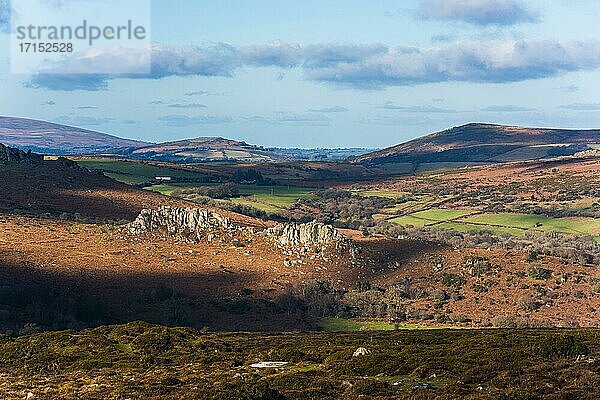 Felder und Wiesen in Haytor Rocks  Dartmoor National Park  Devon  England  Großbritannien  Europa