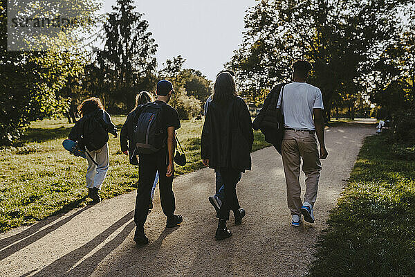 Rückansicht von Freunden  die auf der Straße im Park gehen