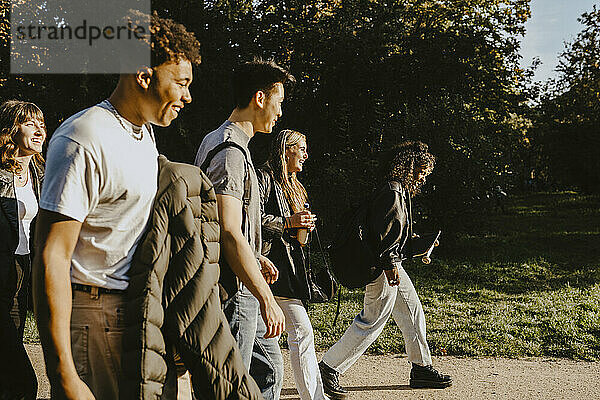 Glückliche männliche und weibliche Freunde zu Fuß auf der Straße im Park