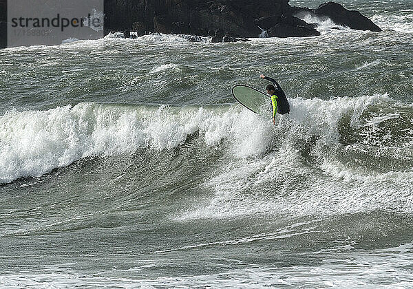Mann surft auf den Wellen  die am Broad Haven South Beach  Wales  UK  ins Meer platschen