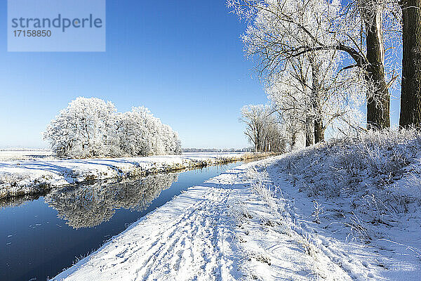 Germany  Brandenburg  Snow-covered trees reflecting in river