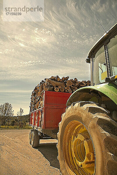 Tractor with trailer filled with freshly cut logs