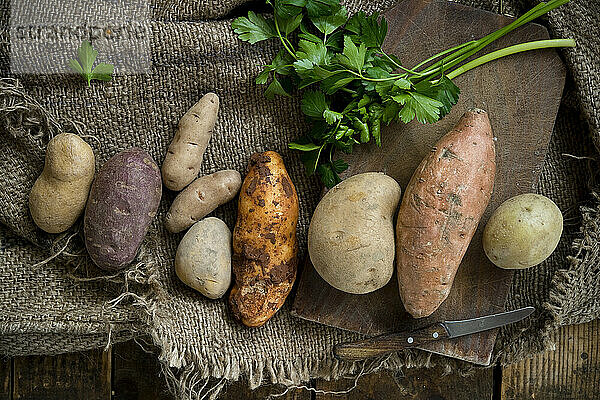 Different types of potatoes: Glorietta  purple sweet potato  Agria  Annabelle  Bamberger Hoerndl  Gala on rustic fabric background