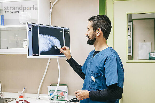 Bearded veterinarian in uniform examining X-ray in veterinary clinic