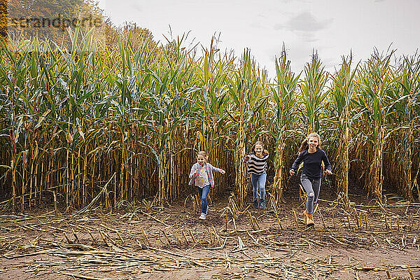 Friends running while playing in corn field