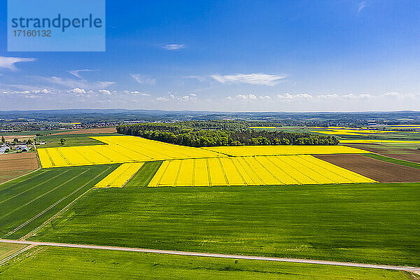 Germany  Hesse  Munzenberg  Helicopter view of green and yellow countryside fields in summer