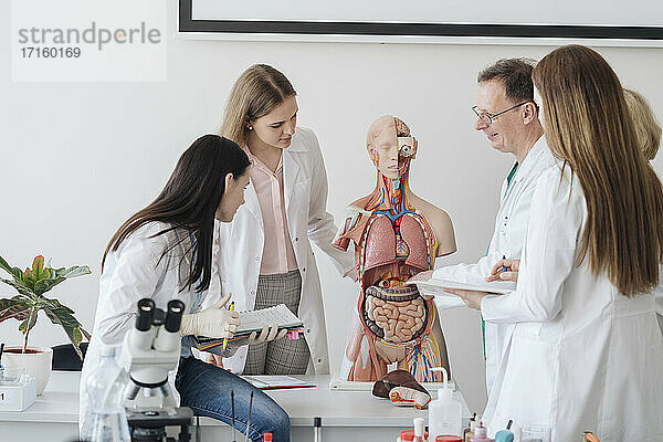 Professor mit Studenten  die ein Anatomiemodell im Unterricht analysieren