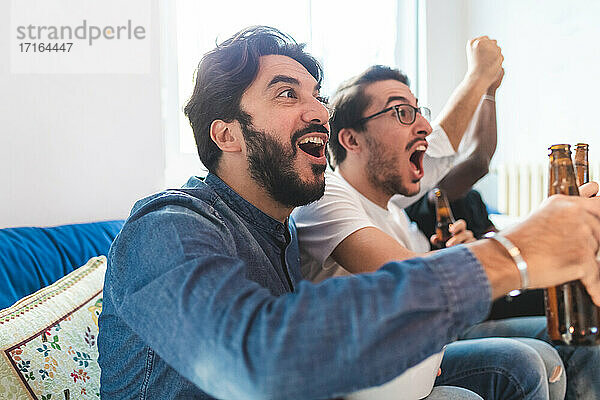 Männer  die jubeln und Sport im Fernsehen sehen