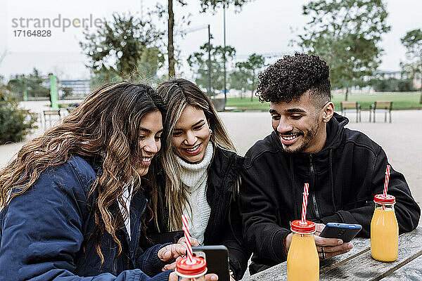 Friends using smart phone at park