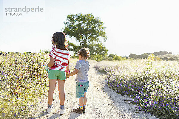 Girl holding brother's hand while standing on road by meadow