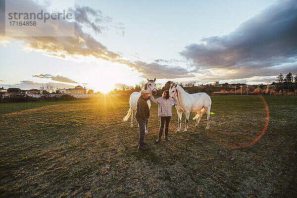 Ranchers talking while standing with horses in ranch during sunset