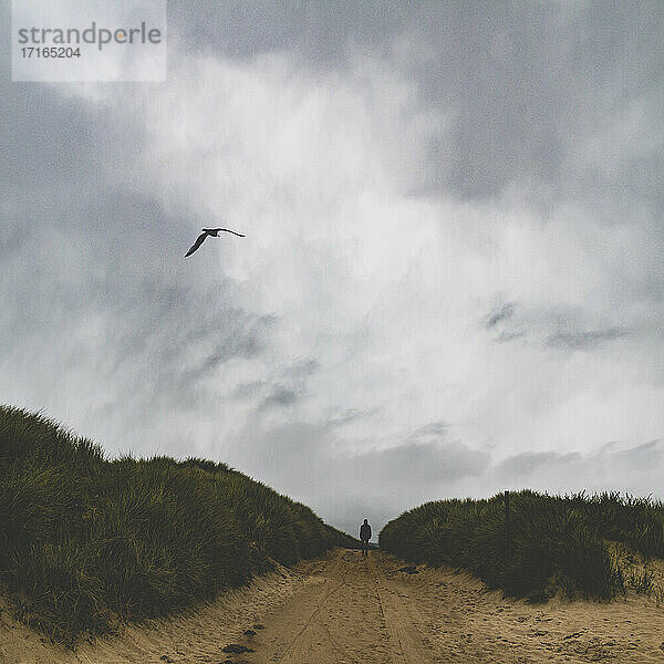 Senior man walking on pathway passing through dunes against cloudy sky at Barneville-Carteret