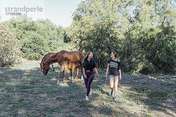 Freundinnen spazieren auf einer Wiese mit Pferden im Hintergrund im Wald