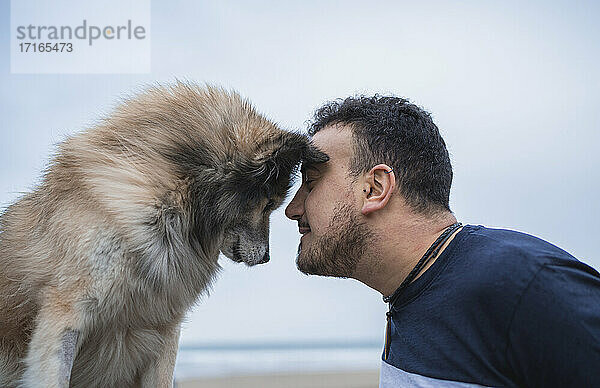 Mid adult man head to head with dog at beach against sky