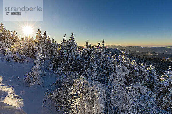 Deutschland  Baden Württemberg  Schwarzwald bei Sonnenaufgang im Winter