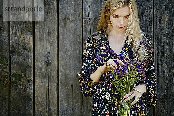 Beautiful blond woman holding bunch of purple flowers while standing against old wooden wall