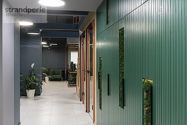 Korridor mit Topfpflanze am Arbeitsplatz