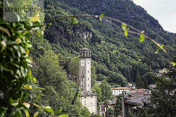 Kirche Parrocchia Di San Lorenzo gegen den Berg im Valchiavenna-Tal  Chiavenna  Provinz Sondrio  Lombardei  Italien