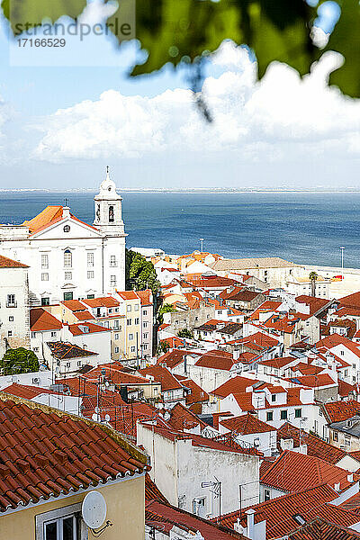 Portugal  Lissabon  Blick auf die Alfama-Gebäude vom Miradouro von Santa Luzia