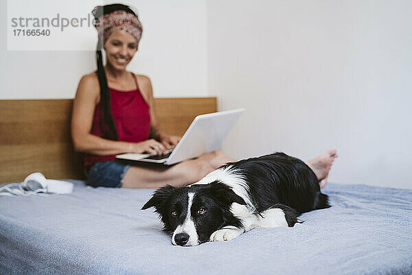 Hund auf dem Bett liegend mit Frau sitzend und mit Laptop im Hintergrund zu Hause
