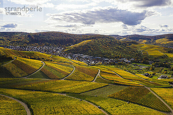 Deutschland  Baden-Württemberg  Weinstadt  Luftaufnahme von Weinbergen und Hügeln an einem Herbsttag