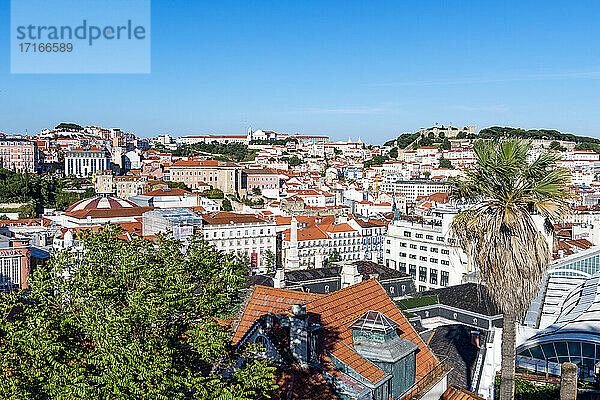 Portugal  Lissabon  Miradouro Sao Pedro Alcantara  Blick auf die Stadt mit Palme im Vordergrund