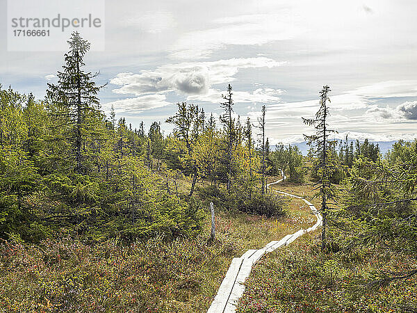 Pathway amidst forest against cloudy sky at Sweden