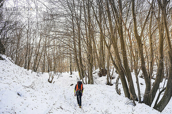 Mature man hiking on snow covered land in forest