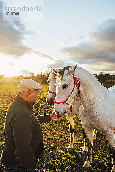 Mature animal trainer consoling horse while standing in ranch during sunset