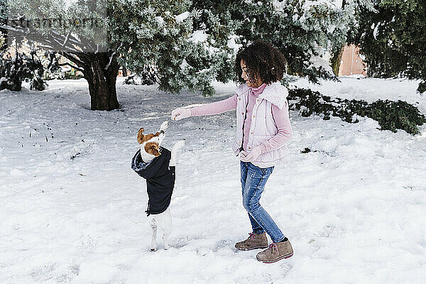 Nettes Afro-Mädchen spielt mit Hund im Schnee im Park