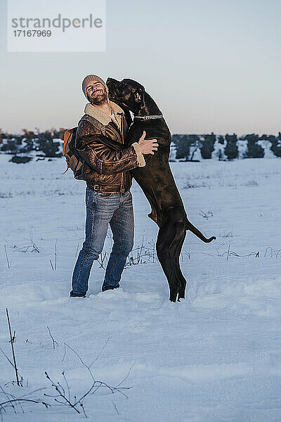 Verspielter Doggenhund lehnt sich an einen Mann im Schnee gegen den klaren Himmel