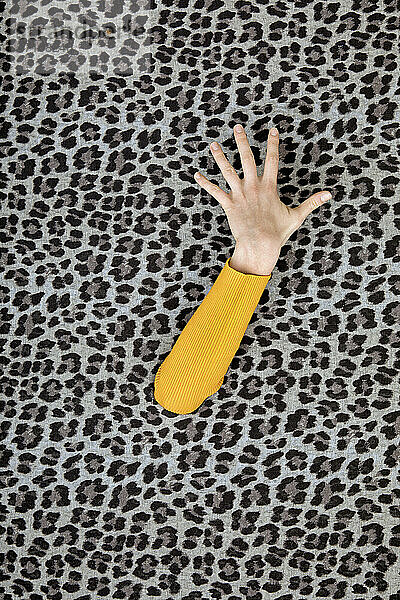 Hand of teenage girl coming out of leopard print pattern