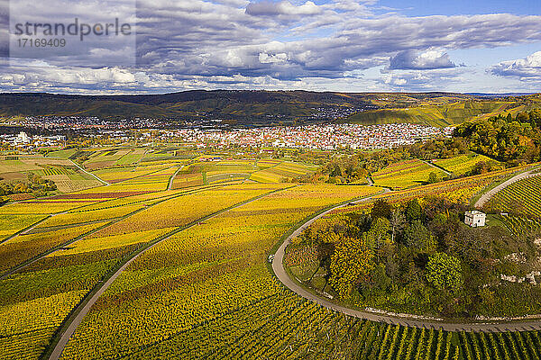 Deutschland  Baden-Württemberg  Weinstadt  Luftaufnahme von Weinbergen und Hügeln an einem Herbsttag