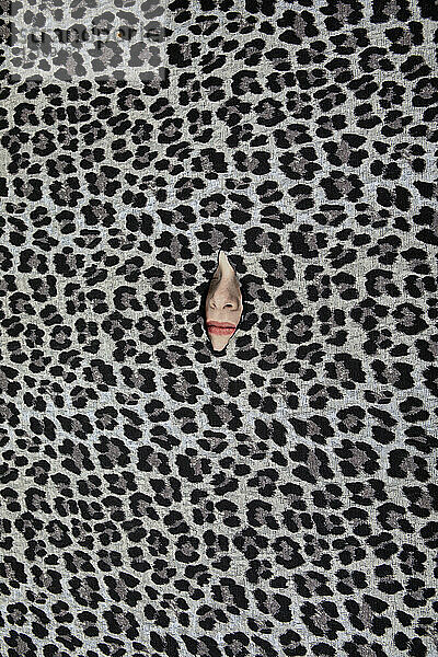 Nose of teenage girl peeking through hole in leopard print pattern