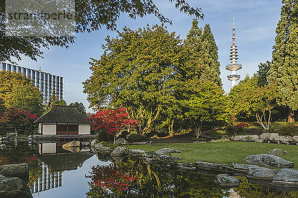 Deutschland  Hamburg  Stadtpark Planten un Blomen im Herbst