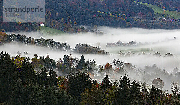 Village shrouded in thick fog